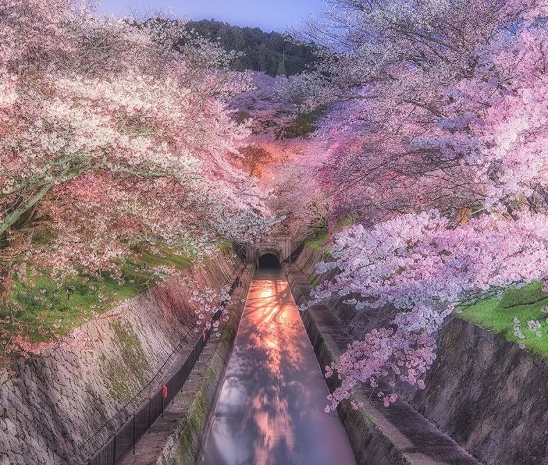 琵琶湖疏水