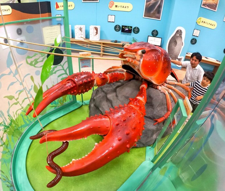 滋賀県立琵琶湖博物館