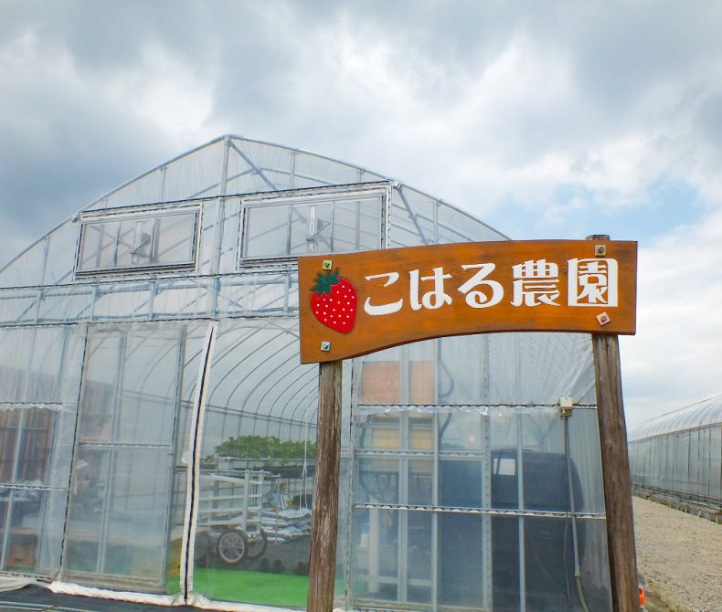 こはる農園