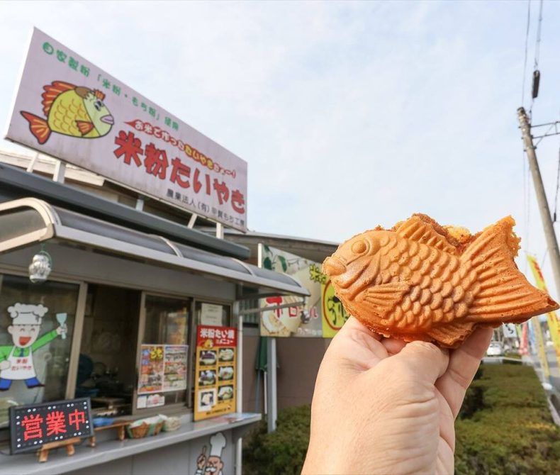 もちもちハウス