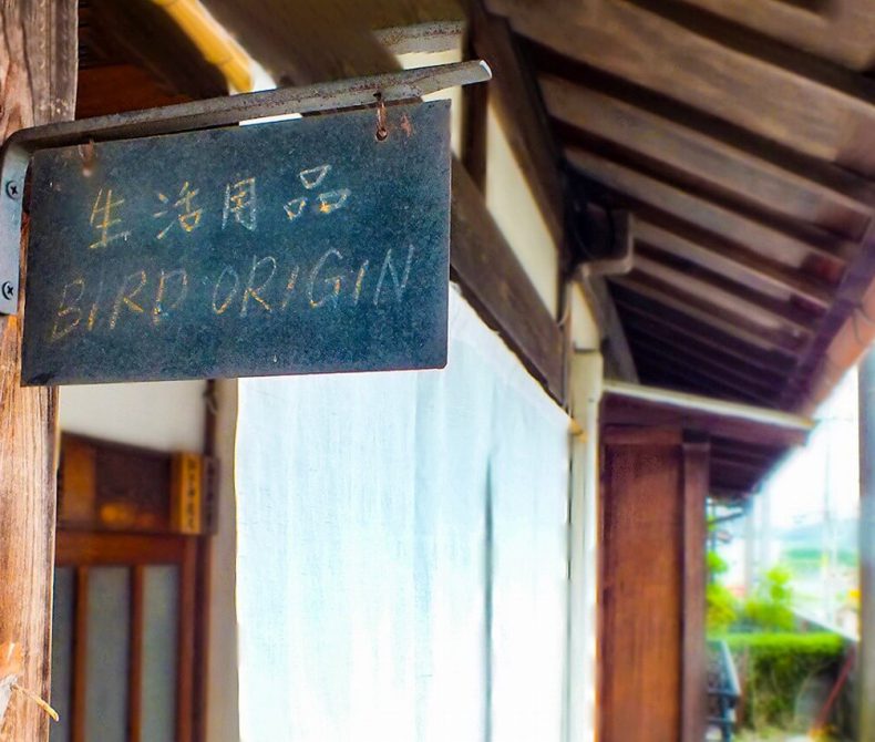 BIRD ORIGIN