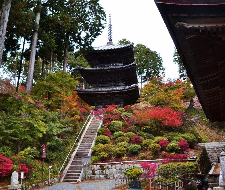 常楽寺