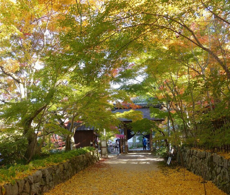 長寿寺