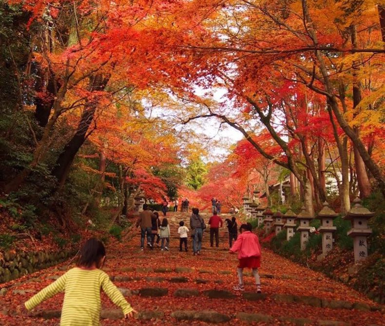 胡宮神社