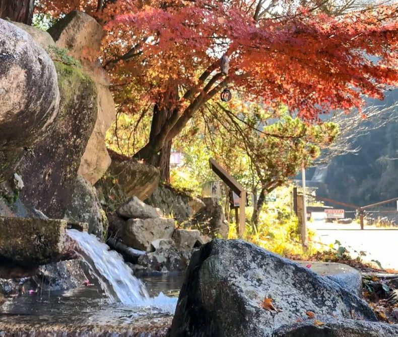 宇曽川ダム公園