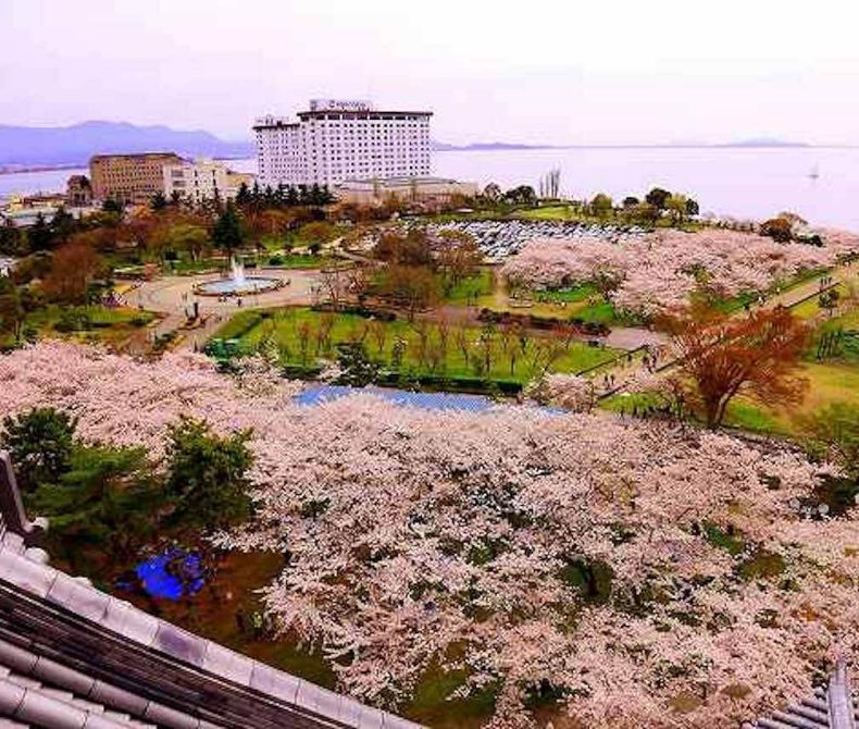 豊公園