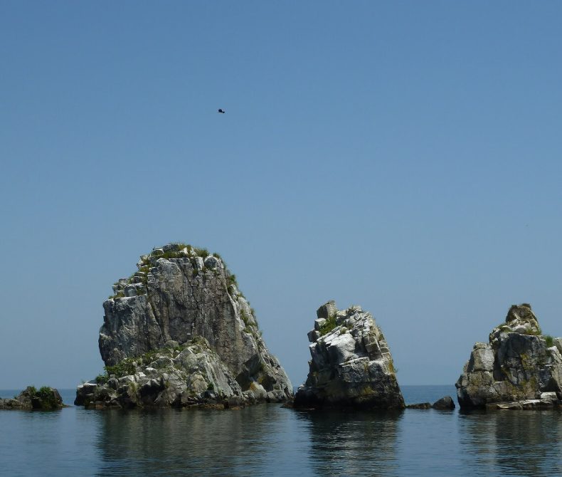 沖の白石