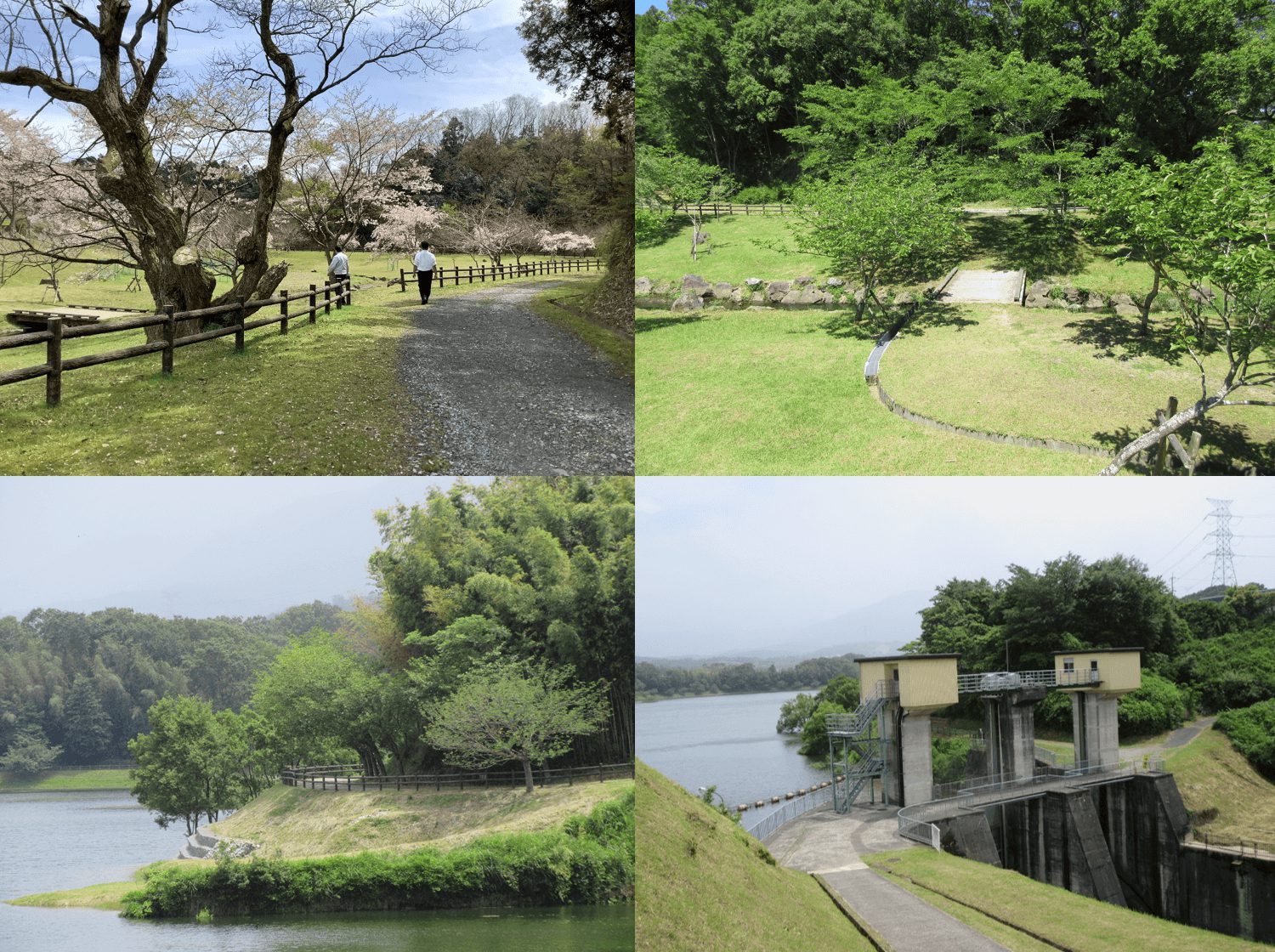 「滋賀県流域政策局水源地域対策室」へリンク