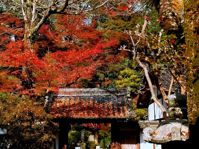 石山寺