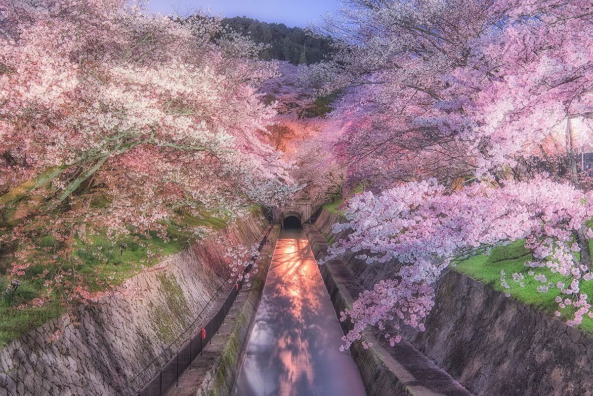 「琵琶湖疏水」へリンク