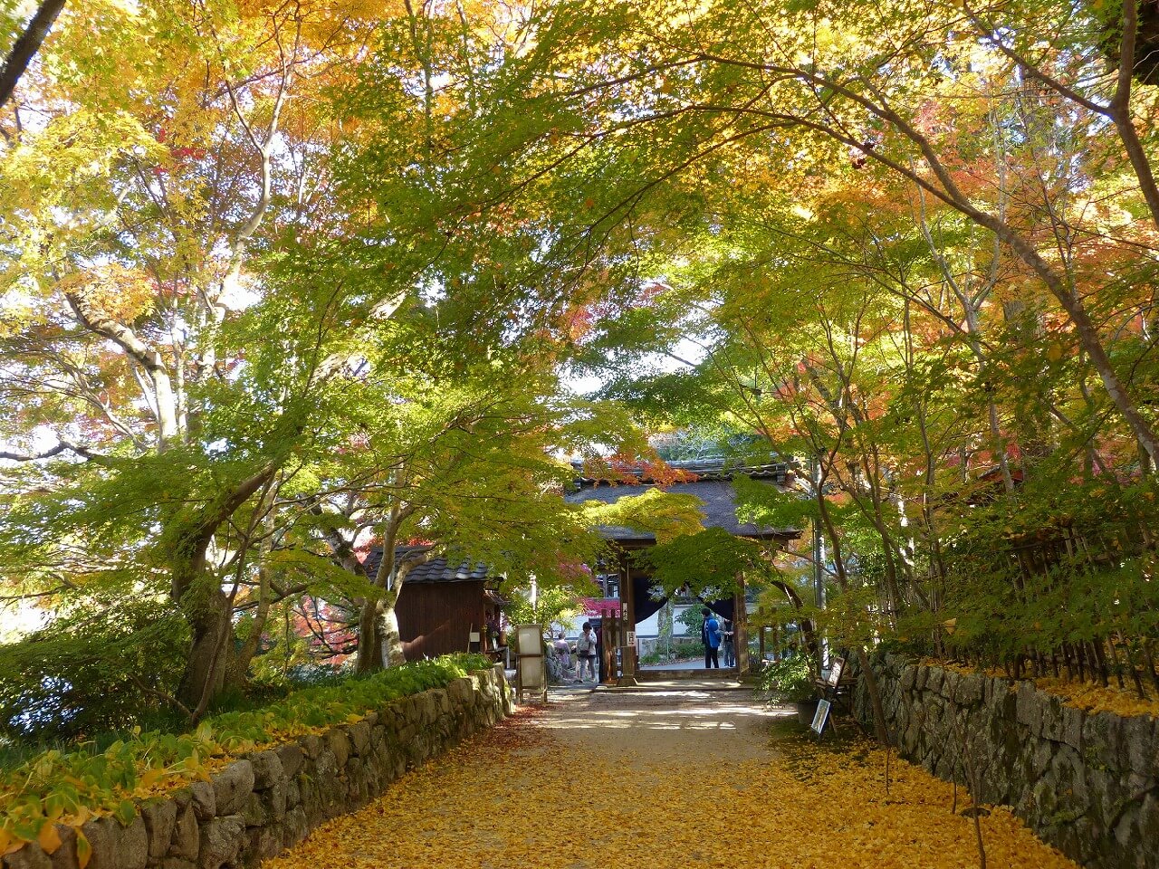 「長寿寺」へリンク