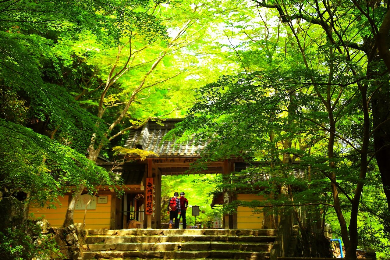 「永源寺」へリンク