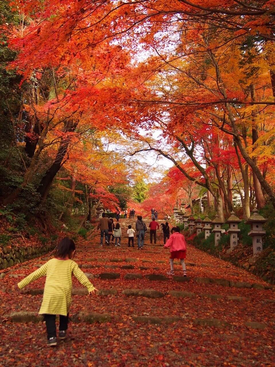 胡宮神社