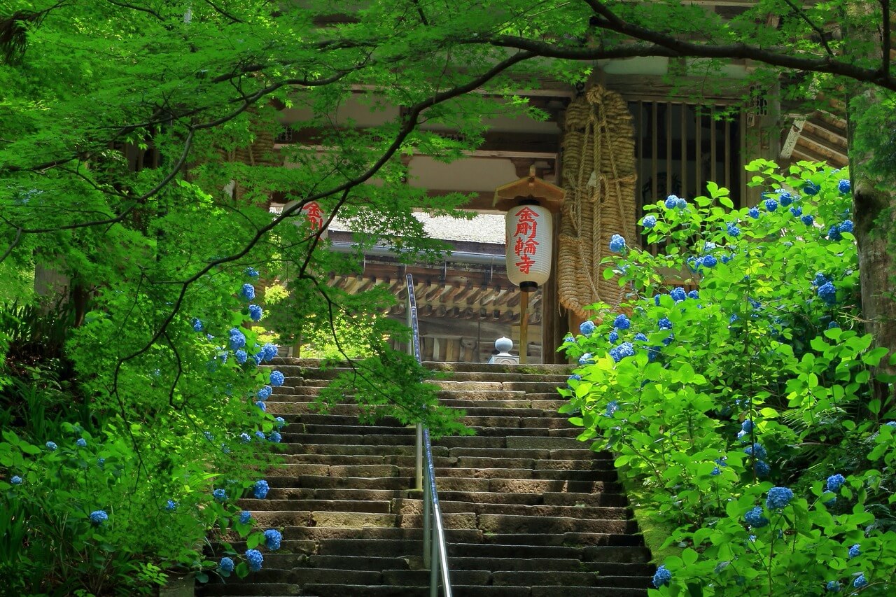 「金剛輪寺」へリンク