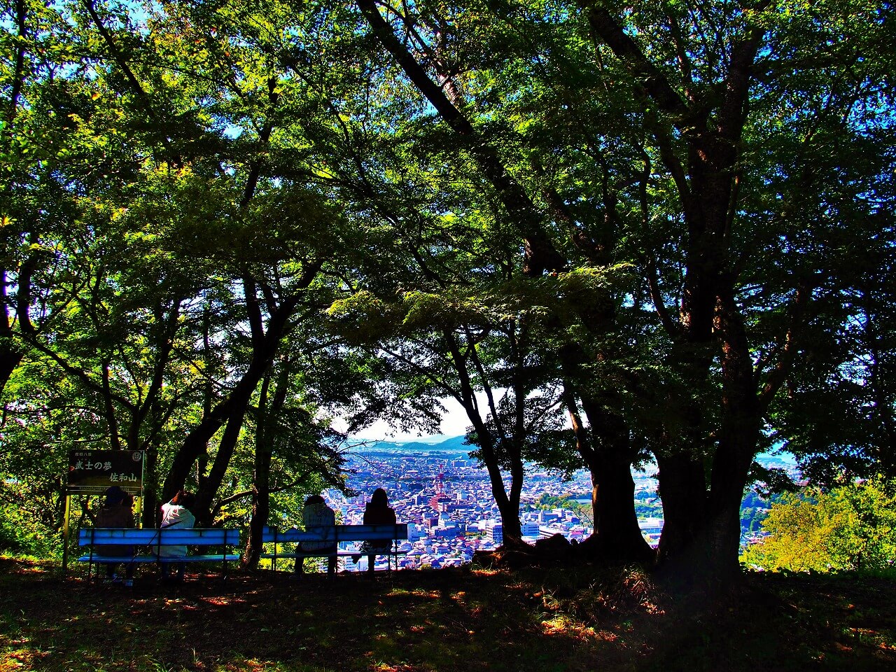 佐和山城跡