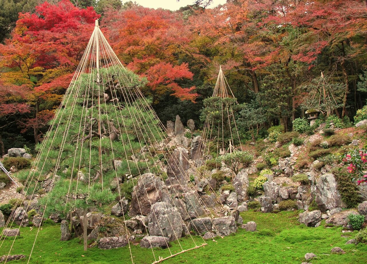 「青岸寺」へリンク