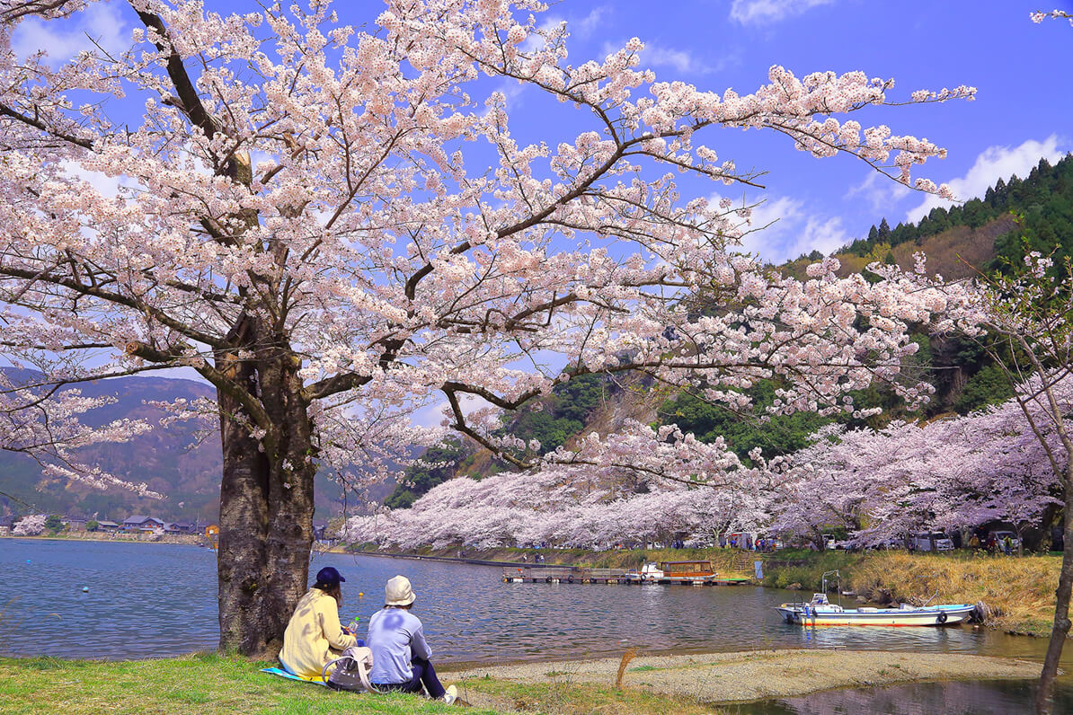 「海津大崎」へリンク