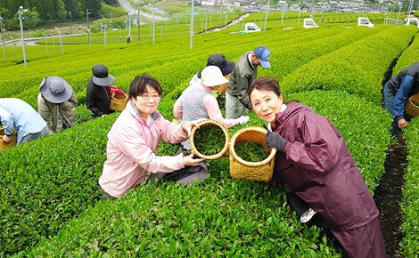 一般社団法人お茶芽Dream朝宮