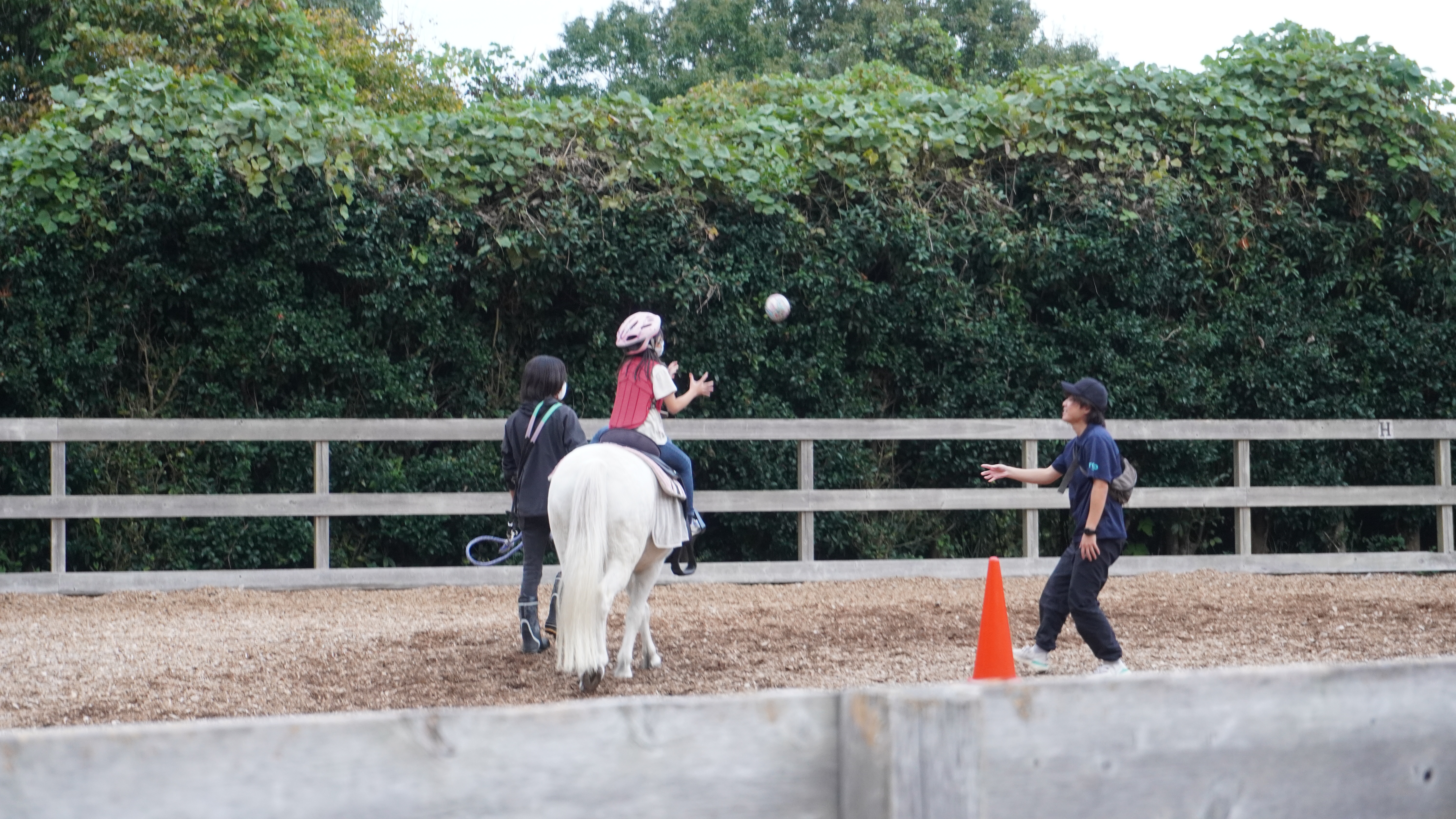 「ホースシェルター「TCC Japan」児童発達支援・放課後等デイサービス「PONY KIDS」」へリンク